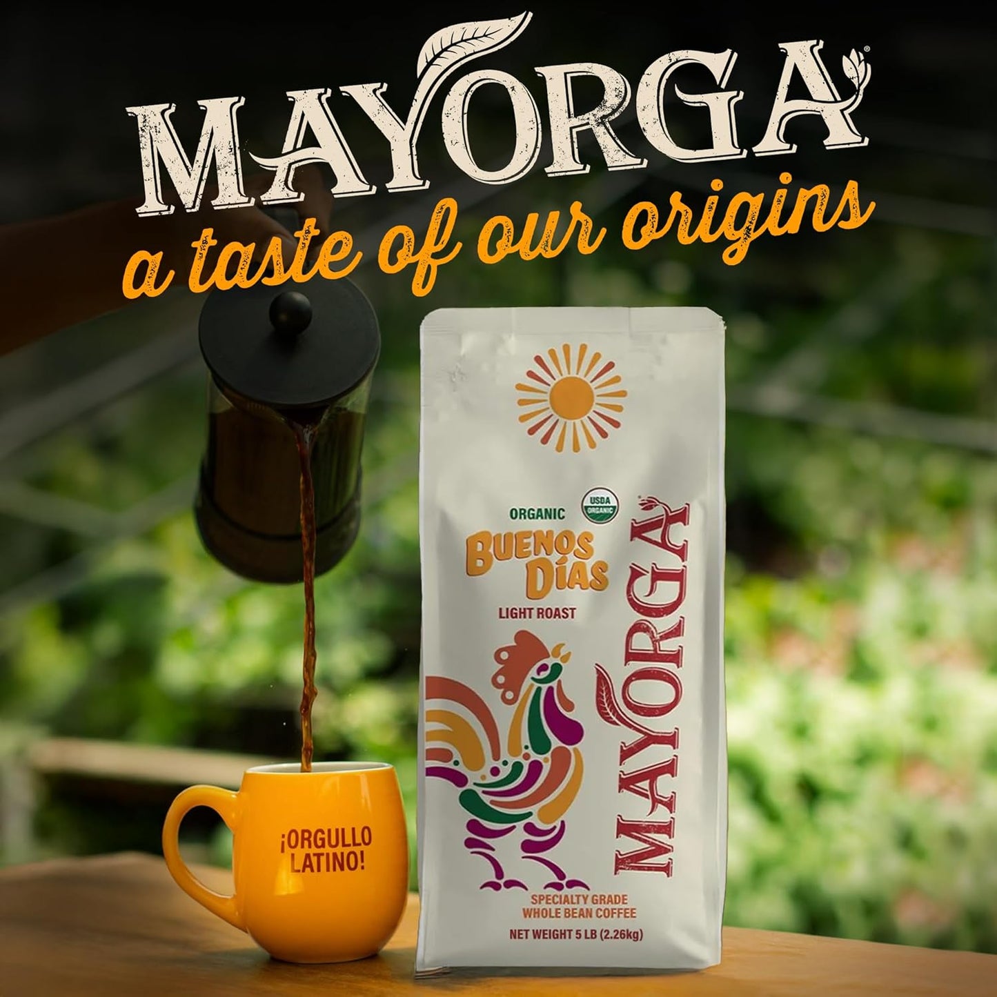 Mayorga Organic Coffee 5lb Buenos Dias - Light Roast Whole Bean Coffee Specialty Grade, 100% Arabica, Slow Roasted, Citrusy and Sweet Flavor with Low Acidity - USDA Organic, Non-GMO, Kosher