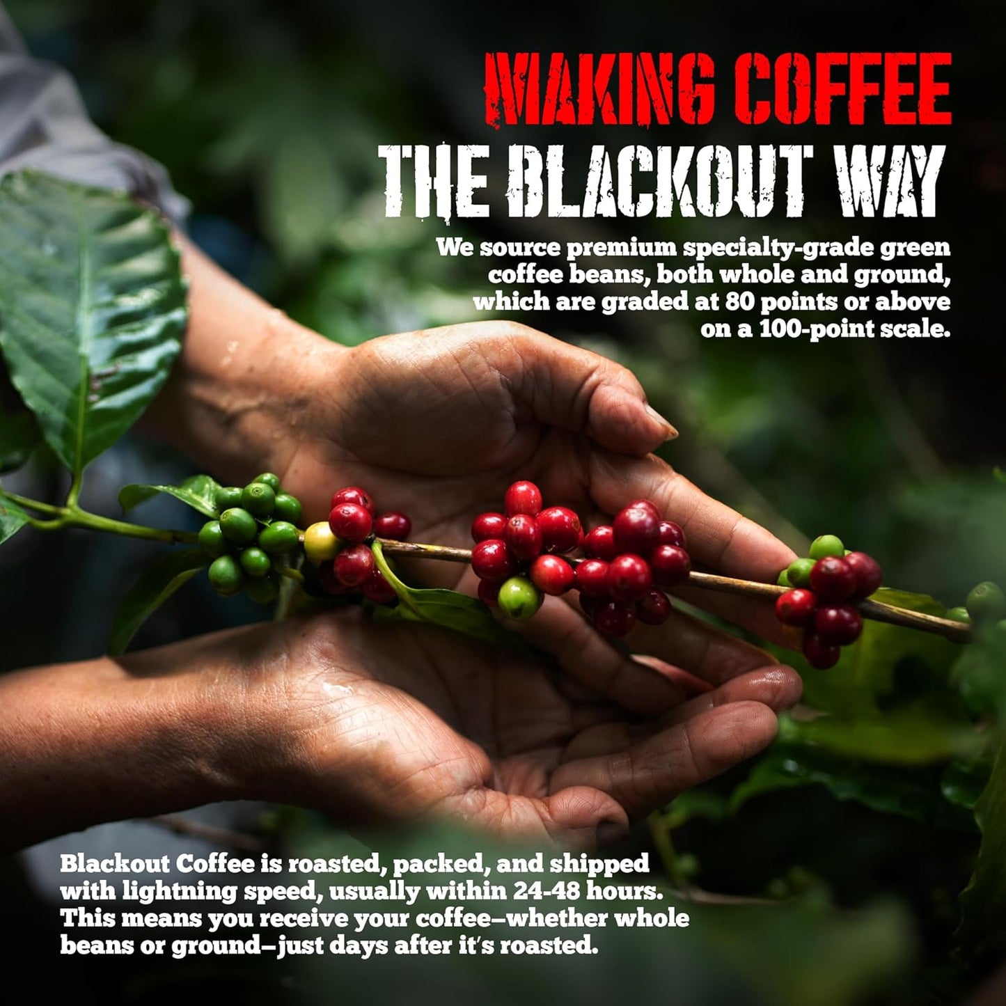 Blackout Coffee Blueberry Crumble Flavored Pods, Freshly Roasted in the USA - K-Cup Compatible Single-Serve Coffee Pods (18 Count)
