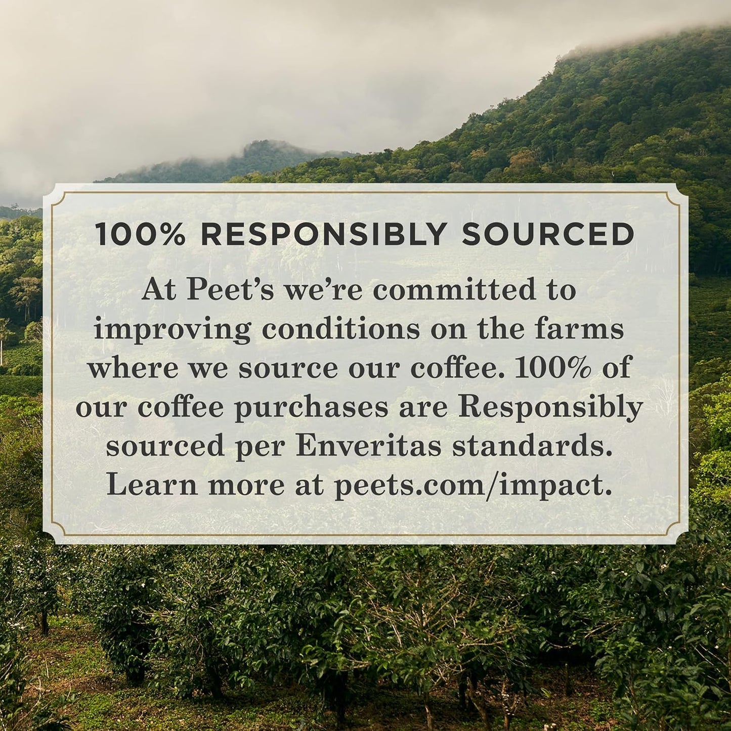 Peet's Coffee, Medium Roast Ground Coffee - Off The Grid 31.5 Ounces (3 Bags of 10.5 Ounces)