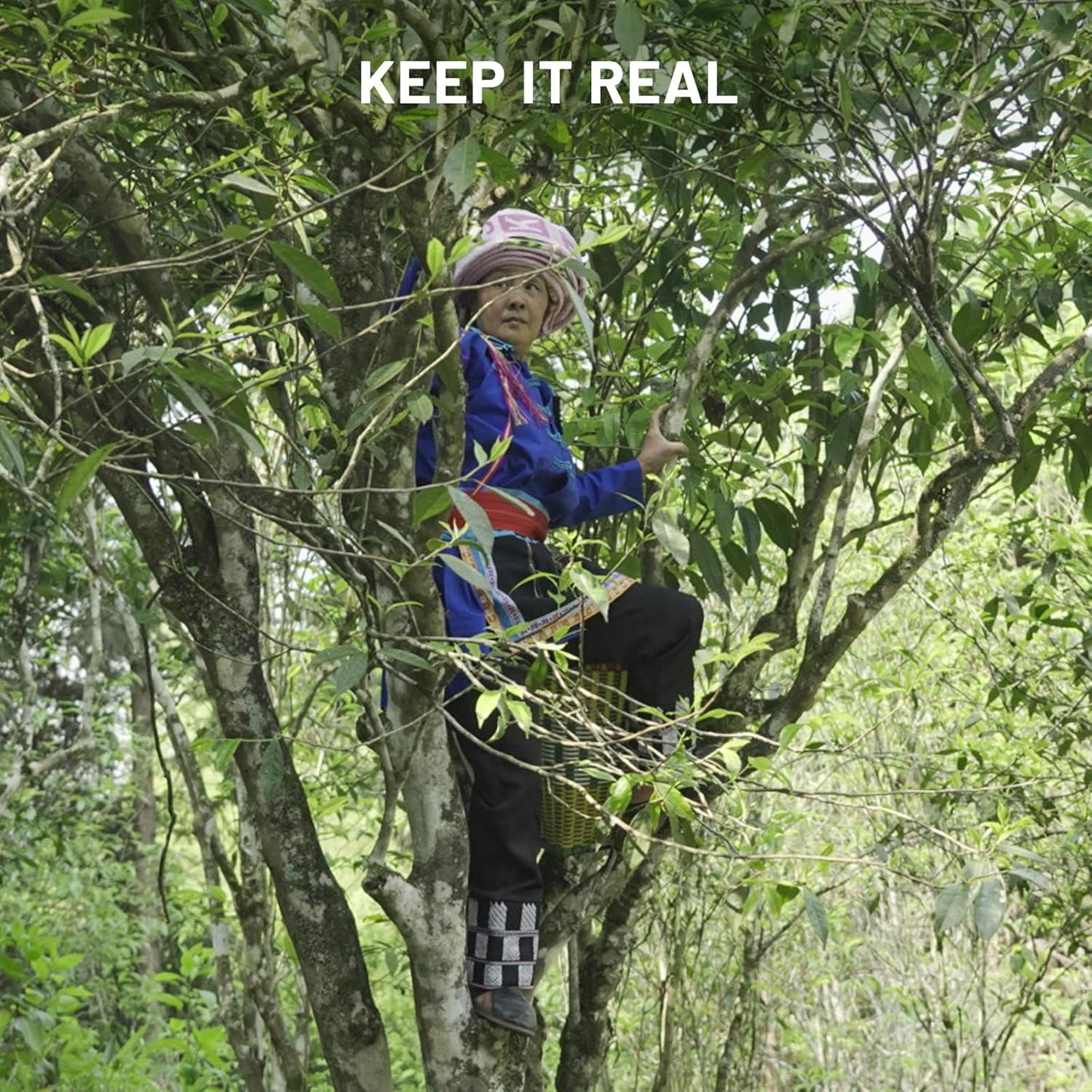 iTeaworld Loose Leaf Tea Sampler Chinese Tea Samplers, 8 Flavors Oolong Tea and Black Tea With Mediumly Caffeinated, High Mountain Tea, Sugar Free for Health Come with 20 Tea Bags, 2.1oz