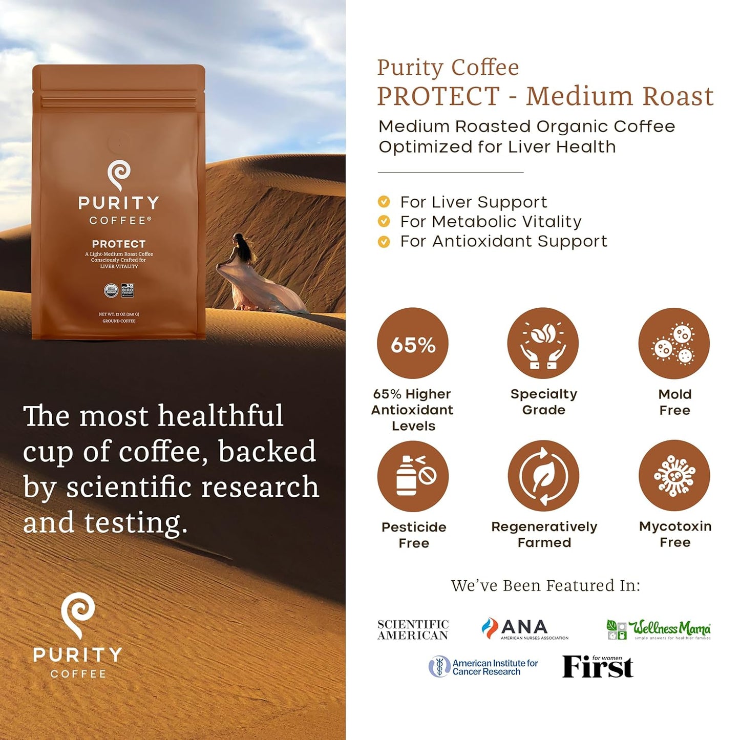 Purity Coffee PROTECT Light-Medium Roast Ground Coffee for Liver Vitality - USDA Organic and Third-Party Tested for Antioxidants, Mold, Mycotoxins and Pesticides - 12oz (Purity Protect, light_roast) | Ground| PROTECT