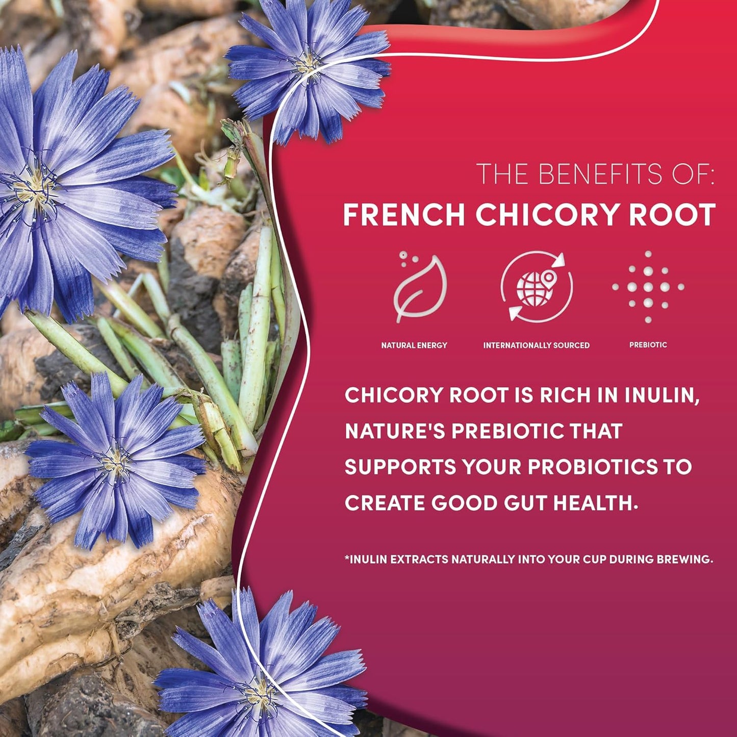 Teeccino Vanilla Nut Chicory Coffee Alternative - 11 Ounce - Ground Herbal Coffee That’s Prebiotic, Caffeine Free & Acid Free, Medium Roast