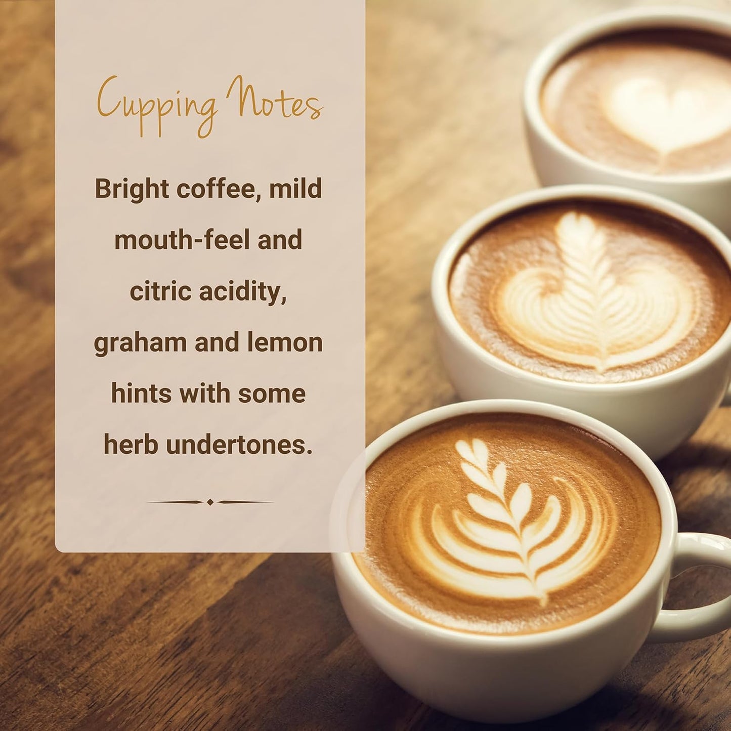 Cubico Coffee Guatemala Antigua Medium Roast Single Origin Coffee Pods, 10 Count, K-Cup Compatible