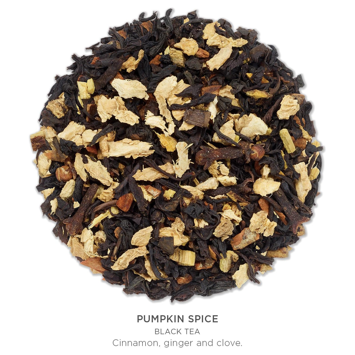 Tea Forte Pumpkin Spice Black Tea Petite Presentation Box Tea Gift Set Sampler, 10 Individually Wrapped Handcrafted Pyramid Infuser Bags