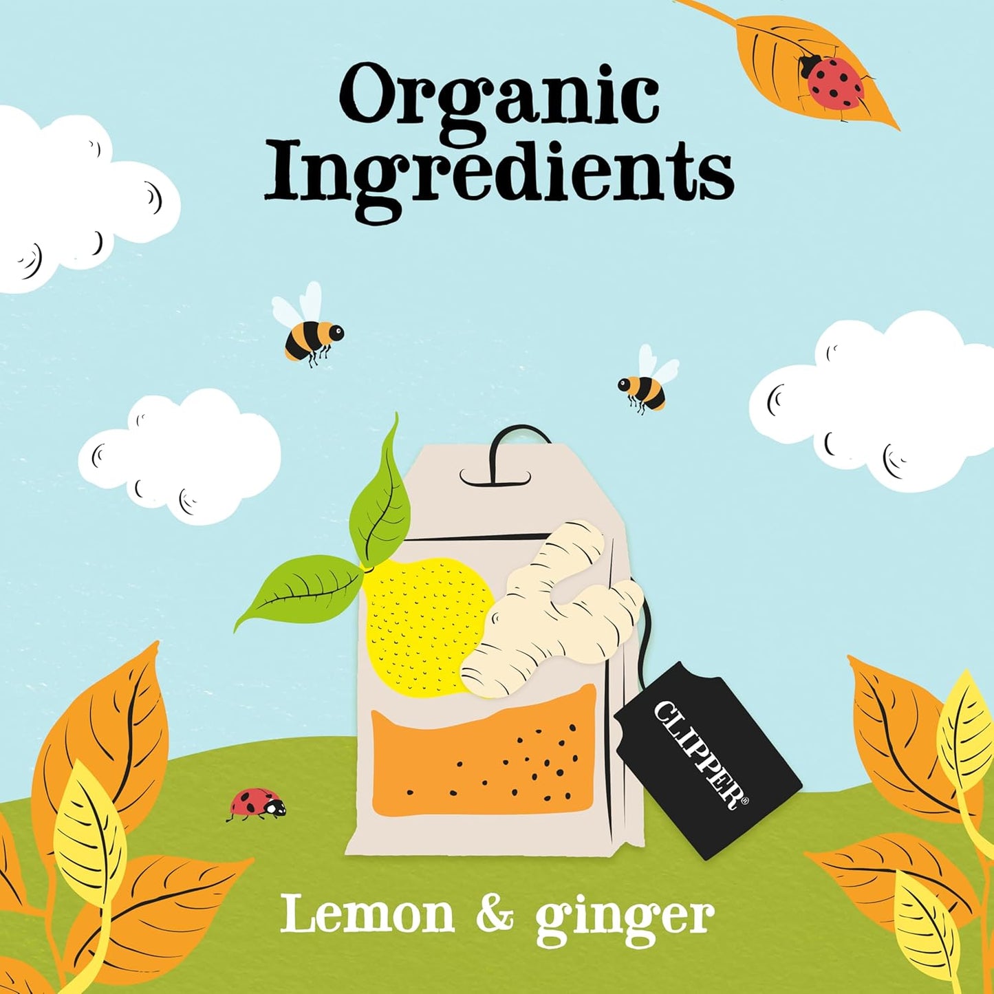 Clipper Tea Lemon & Ginger Teabags – Caffeine Free, USDA Organic, Great Hot or Iced – Aromatic, Natural, Fair & Delicious – 50 Tea Bags