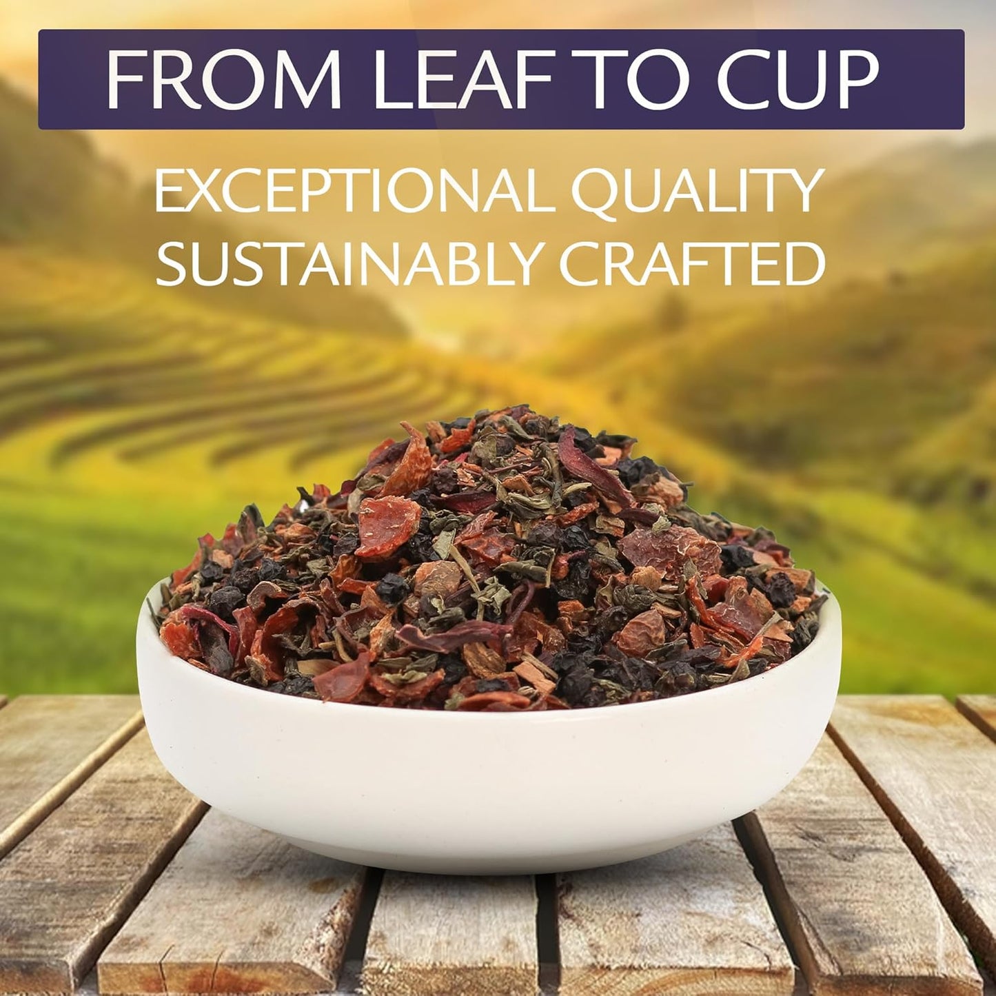 Birdsong Fountain of Pitta: Organic Green Tea Bags with Berries, Rooibos, and Cinnamon | Light, Refreshing and 100% Natural Tea with Health Benefits | 18 Pyramid Tea Sachets