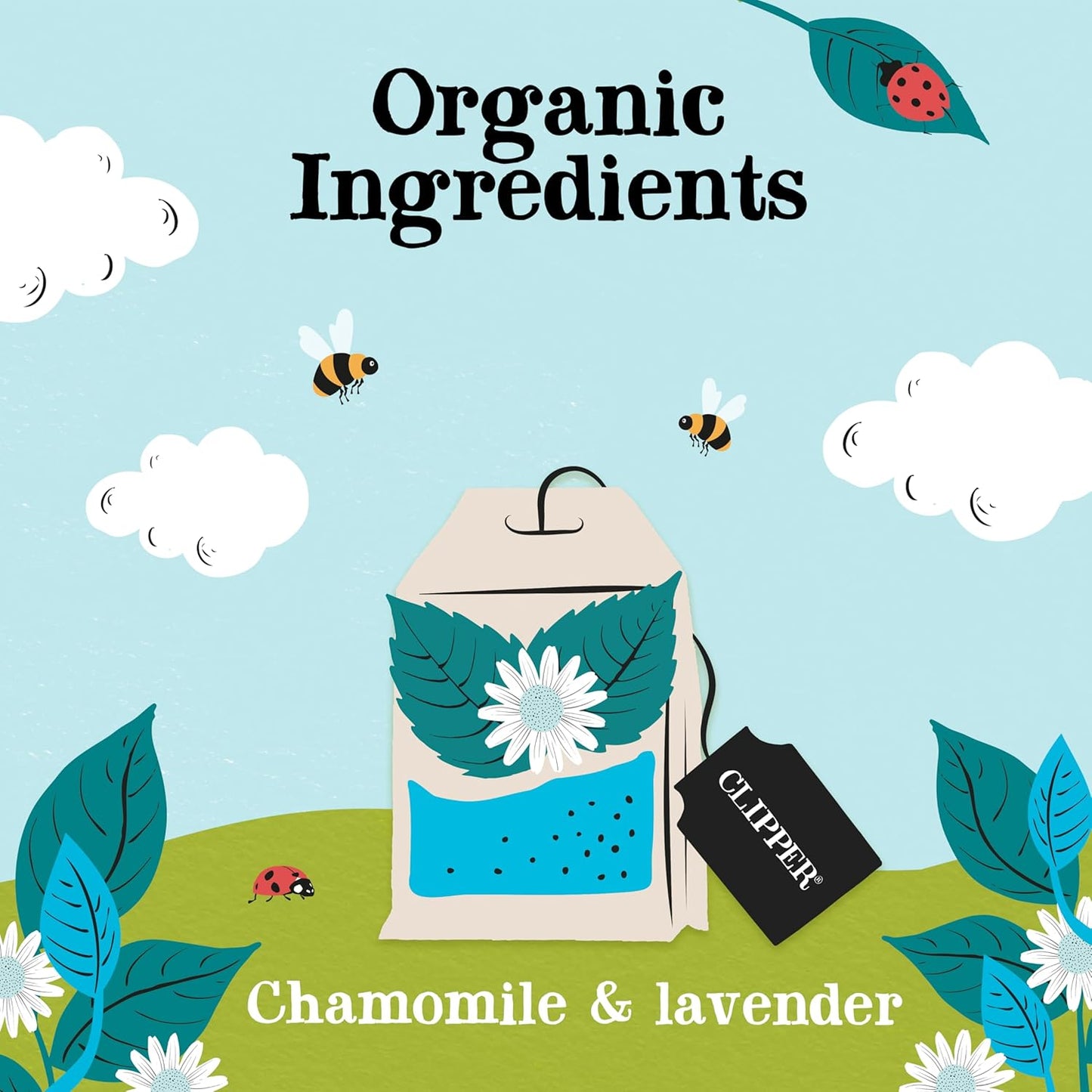 Clipper Tea Snore and Peace Chamomile & Lavender Herbal Tea – Caffeine Free, USDA Organic, Great Hot or Iced – Comfortingly Floral, Natural, Fair & Delicious – 200 Tea Bags