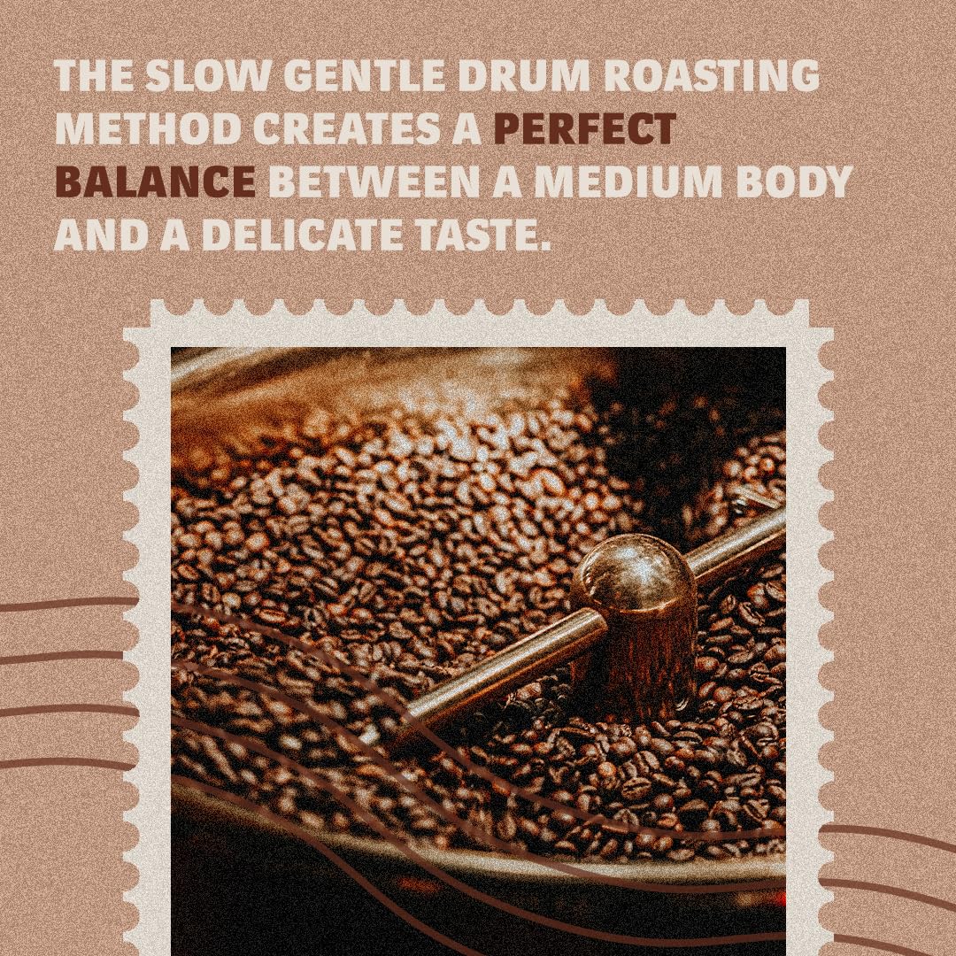 Lavazza Tierra! Selection Whole Bean Coffee Blend, Medium Roast, 2.2LB Bag , 100% Arabica, Rainforest Alliance Certified, sustainably grow