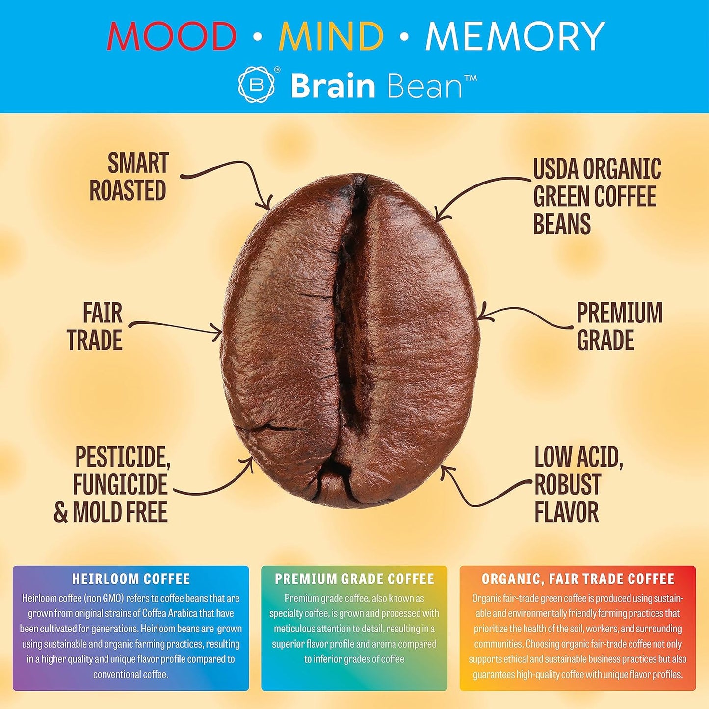 Brain Bean Organic Coffee – Smooth Taste & Rich Medium Roast – High Antioxidant & USDA certified organic for Cognitive Support, Mood Enhancement & Toxin Removal - Whole Bean Coffee – 16 oz (3-Pack)