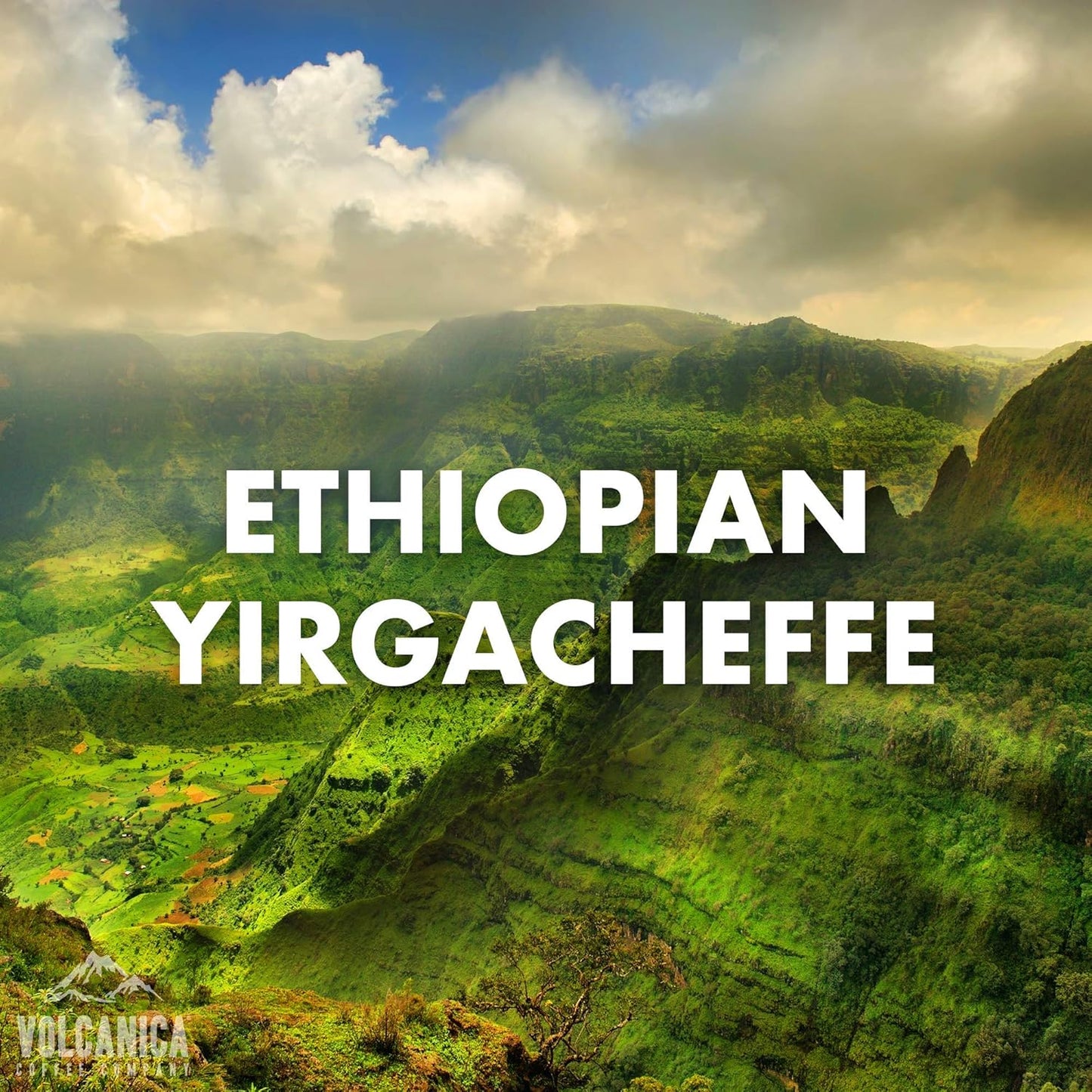 Ethiopian Coffee, Yirgacheffe Region, Ground, USDA Organic, Fresh Roasted, 5 lbs