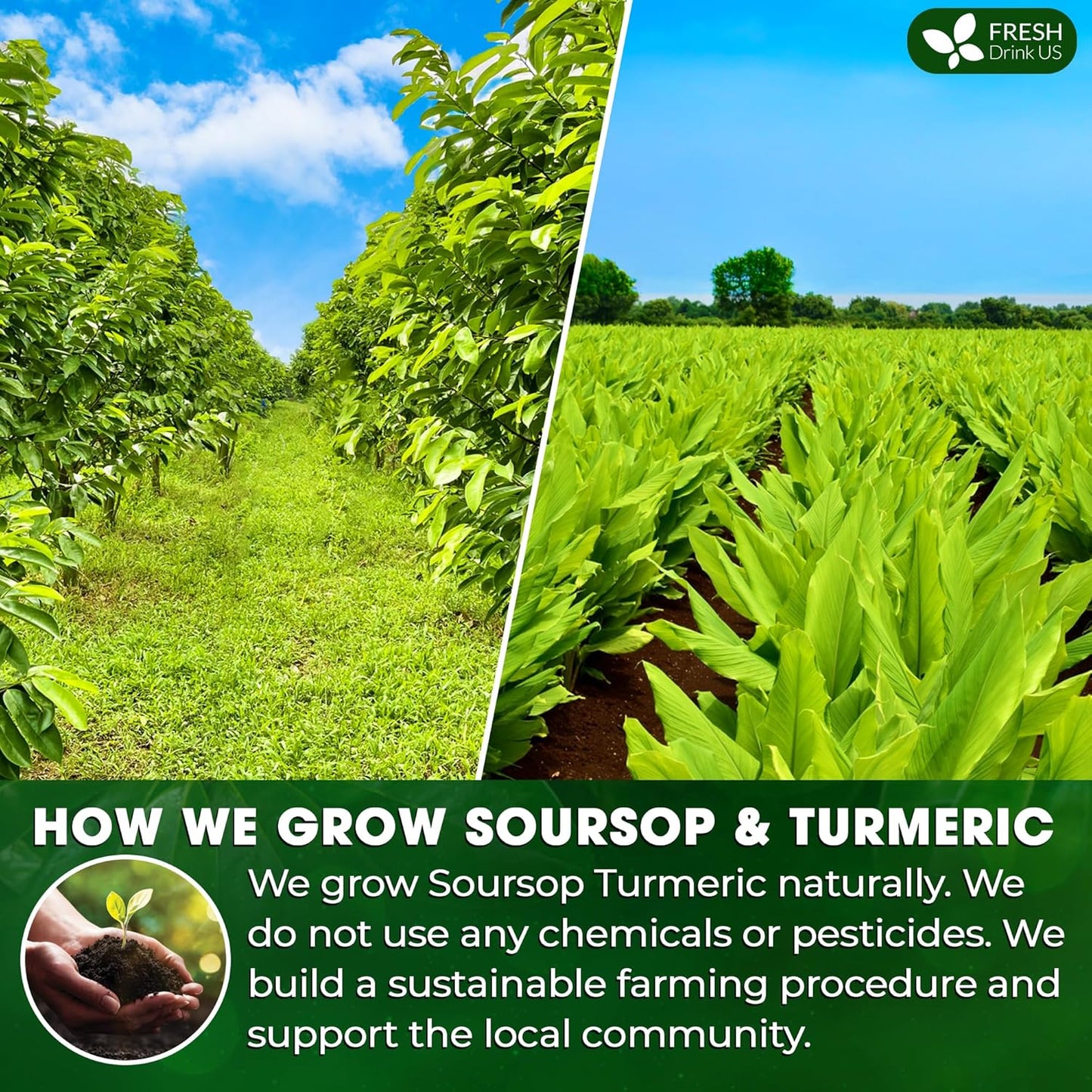 FreshDrinkUS, Premium 40 Soursop Turmeric Tea Bags, 100% Natural, Blend of Soursop Leaves, and Turmeric Root. Made with Natural Material Tea Bags. No Sugar, Vegan.